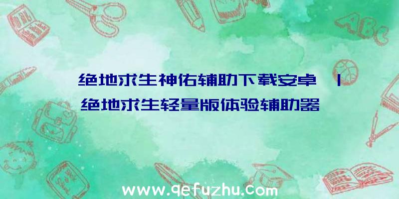 「绝地求生神佑辅助下载安卓」|绝地求生轻量版体验辅助器